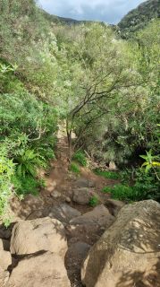 2024-01-GranCan-Barranco_de_los_Cernicalos-076.jpg